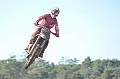 _ROB6993 (Copy)
